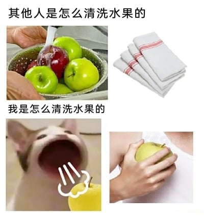 这是一张采用上下对比形式的搞笑梗图，图中分为两个部分。上半部分标注“其他人是怎么清洗水果的”，展示了常规的水果清洗流程：用水龙头冲洗盆里的苹果，再用干净的布擦干；下半部分标注“我是怎么清洗水果的”，用两张图呈现了随性敷衍的清洗方式，一张是大张嘴巴的猫咪对着苹果，仿佛要直接啃食跳过清洗步骤，另一张是将苹果在衣服上摩擦蹭拭，以此和上半部分的常规操作形成强烈反差，调侃自己在生活中不拘小节、随性的行为，充满趣味。