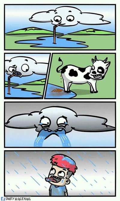 这是一幅四格连环漫画，以荒诞的连锁情节制造喜剧效果：第一格，一朵带有拟人化表情的白云，正用一根吸管惬意地汲取池塘中的水，神态放松满足；第二格，画面分为左右两部分，左侧的白云突然露出极度恶心、难受的表情，右侧则揭示了原因——一头黑白花奶牛正站在池塘边缘排便，粪便直接落入了白云刚刚喝水的池塘中；第三格，原本洁白的云朵变成了灰色，双眼噙满泪水，崩溃大哭起来，它的眼泪化作雨滴从天空落下；第四格，一个红头发的男孩站在雨中，满脸开心地张嘴接住落下的雨水饮用，完全不知道这些雨水其实是喝到脏水的白云的眼泪，也不清楚雨水的“源头”有多肮脏。整个漫画通过一环接一环的巧合式情节，将无厘头的荒诞感拉满，用夸张的拟人化手法展现了倒霉的连锁反应。