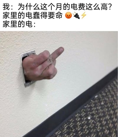 这是一张用于吐槽高额电费的搞笑拟人化梗图。图中上方配有文字，以第一人称抱怨“为什么这个月的电费这么高？家里的电蠢得要命”，还搭配了愤怒表情、插头和闪电的emoji，传递出对高额电费的不满；下方的图片则是通过P图手法，将一只真人的手从墙壁的插座孔中伸出，比出中指，以此拟人化地代表“家里的电”对抱怨的回应，用戏谑、搞怪的方式放大了用户面对高额电费的无奈与愤怒，容易引发有相同经历的网友共鸣。