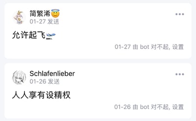 这是群聊消息截图拼接内容，共包含两条被设置为自动回复触发内容的消息：第一条是用户“简繁浠”1月27日发送的内容“允许起飞”搭配飞机表情，下方标注该条回复由名为“bot 对不起，设置”的机器人在1月27日设置触发；第二条是用户“Schlafenlieber”1月26日发送的内容“人人享有设精权”，属于谐音梗，是“人人享有设置群聊精华权限”的恶搞缩写，下方同样标注该回复由“bot 对不起，设置”机器人在1月26日设置触发，整体内容荒诞搞笑，是群成员乱设置机器人回复规则产出的趣味内容。