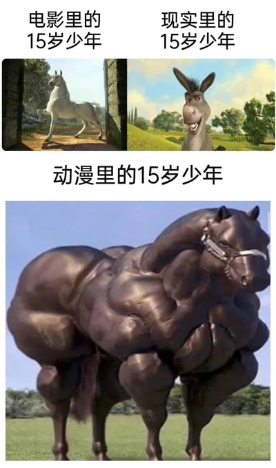 这是一张多图拼接的搞笑梗图，通过三种不同动物的形象，对比了电影、现实和动漫里的15岁少年形象。图中分为两个区域，上方为左右分栏的对比图：左侧标注‘电影里的15岁少年’，搭配一匹姿态俊朗、昂首抬蹄的白马，用来象征电影中15岁少年常被塑造出的帅气、充满气场的英雄感；右侧标注‘现实里的15岁少年’，搭配《怪物史莱克》里咧嘴憨笑的贫嘴驴，调侃现实中的15岁少年更接地气、带着生活化的滑稽感。下方区域标注‘动漫里的15岁少年’，搭配一匹肌肉极度夸张膨胀的黑马，用来吐槽动漫作品里的15岁少年往往拥有超越常人的夸张体魄和超强能力，三者形象形成强烈反差，充满对不同媒介角色设定差异的搞笑吐槽。