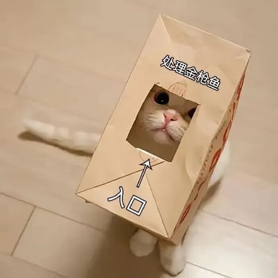 一只白色猫咪钻进了一个棕色纸箱，纸箱正面有一个矩形洞口，猫咪的头部从洞口伸出，露出一双圆溜溜的大眼睛和粉色的鼻子，表情呆萌。纸箱上用黑色字体写着“处理金枪鱼”，底部则有“入口”字样并配有一个向上的箭头指向洞口。背景是浅色木质地板，整体画面充满可爱和搞笑的氛围。