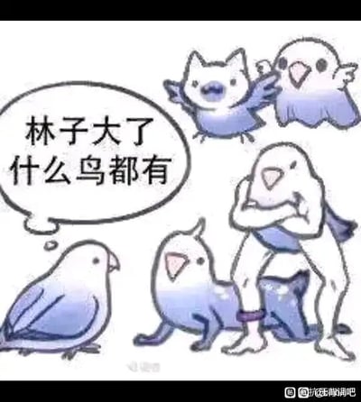 这是一张图文混排的卡通风格静态图，画面中共有五只与鸟类相关的形象，其中左下角是一只外观正常的蓝白色小鸟，它的对话气泡里写着俗语“林子大了什么鸟都有”；右上角是两个结合了猫脸与鸟身体的怪异形象，一个张开翅膀，姿态兴奋，另一个安静站立；右下角则是两个更荒诞的拼接形象，一个是鸟头搭配类似犬类的四肢，四肢着地，另一个是鸟头搭配人类的躯体，做出叉腰站立的姿势，腿部还有类似项圈的装饰。这张图将俗语“林子大了什么鸟都有”进行字面化演绎，用荒诞的形象拼接，直观呈现出“奇怪的鸟”，以此呼应俗语所表达的“圈子大了什么奇特的事物/人都有”的含义，制造出搞笑、调侃的效果。
