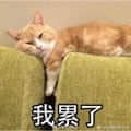 一只橘色猫咪懒洋洋地趴在绿色沙发上，双眼紧闭，一只爪子自然垂落，表情看起来十分疲惫。图片下方配有文字‘我累了’，生动地表达出猫咪此刻的状态，也常被网友用来形容自己疲惫的心情。
