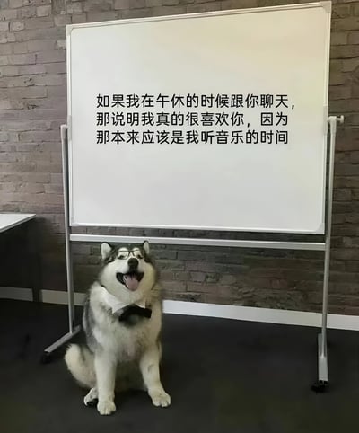 图片中，一块白色写字板上用黑色字体写着：'如果我在午休的时候跟你聊天，那说明我真的很喜欢你，因为那本来应该是我听音乐的时间'。写字板前，一只戴着黑框眼镜和黑色领结的哈士奇狗狗正坐在地上，嘴巴张开，露出舌头，表情看起来十分开心，仿佛在“一本正经”地传达板上的幽默告白内容。