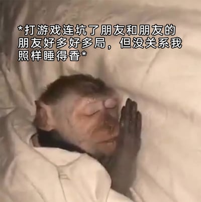 这是一张搞笑表情包图片，主体是一只真实的猴子，它盖着白色的被子躺在床上，双手合十放在脸侧，双眼紧闭，神态安详，看起来睡得十分香甜。图片上方配有拟人化的文字旁白：“*打游戏连坑了朋友和朋友的朋友好多好多局，但没关系我照样睡得香*”，通过猴子毫无愧疚的安稳睡眠状态，调侃自己在游戏中多次坑害队友后，依旧心态坦然、不受影响的样子，充满了自嘲和搞笑的氛围，适合在游戏相关的社交聊天中用来自我调侃或者回应队友的吐槽。