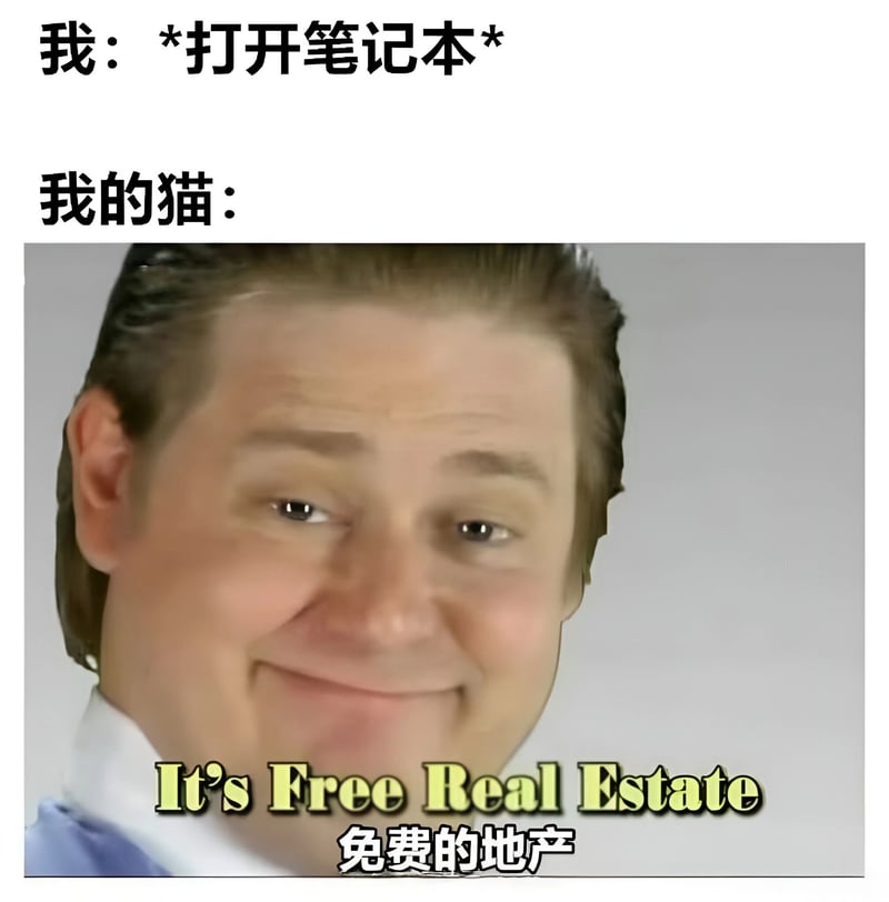 I Think You Should Leave with Tim Robinson