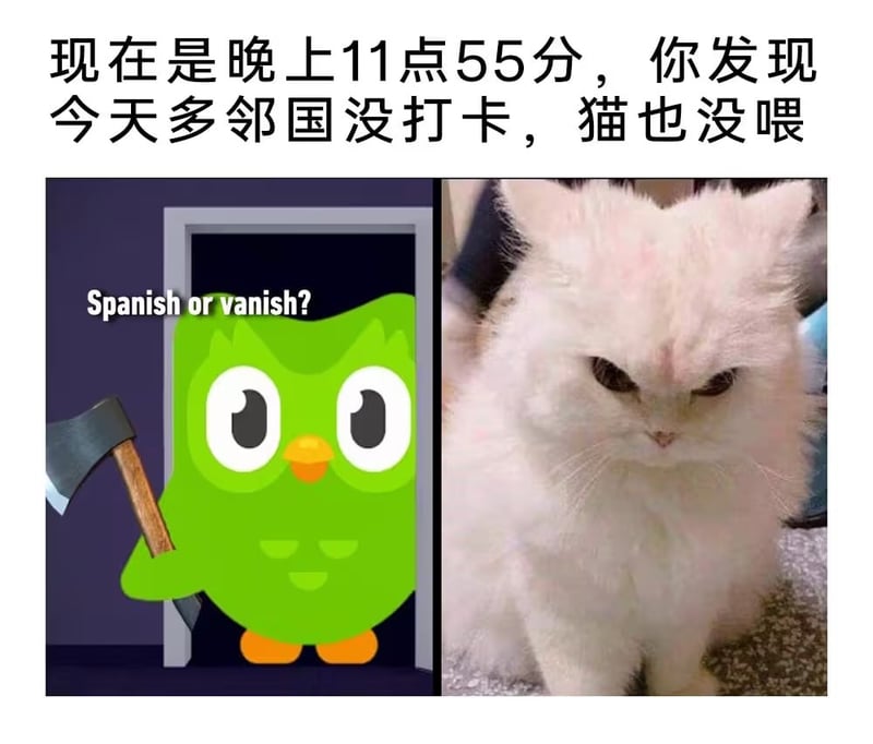 多邻国