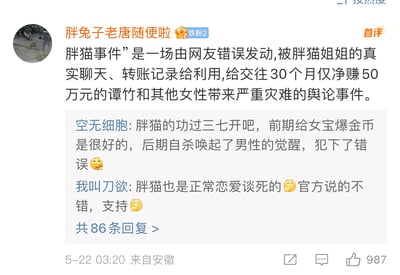 这是一张来自微博类社交媒体平台的评论区截图，发布于2024年5月22日03:20，IP属地为安徽。首评用户「胖兔子老唐随便啦」认为「胖猫事件」是一场由网友错误发动、被胖猫姐姐的真实聊天与转账记录利用，给谭竹等相关女性带来严重灾难的舆论事件；下方两条回复中，用户「空无细胞」提出胖猫功过三七开的观点，认为其前期在恋爱中付出较多，后期自杀唤起男性觉醒是错误；用户「我叫刀欲」则表示胖猫是正常恋爱导致的死亡，支持官方说法，两条回复均带有🤔表情，整体是针对「胖猫事件」的争议性讨论。