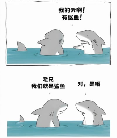 这是一幅两格连环卡通漫画，描绘了鲨鱼之间的幽默误解场景。上格中，两只鲨鱼浮出水面，其中一只惊恐地大喊“我的天啊！有鲨鱼！”，背景中还有一个鲨鱼鳍若隐若现；下格中，两只鲨鱼对视，先前惊恐的鲨鱼恍然大悟道“老兄我们就是鲨鱼”，另一只则淡定回应“对，是哦”。通过角色对自身身份的短暂遗忘制造出滑稽效果。