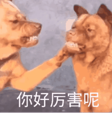 一只表情愤怒的黄色狗狗，嘴巴张开露出牙齿，一只前爪抬起，在画面中不断左右抖动。图片下方有白色文字"你好厉害呢"，通过狗狗愤怒的表情和抖动的动作，形成一种反差萌的嘲讽效果，通常用于对他人的炫耀或自夸表示调侃。