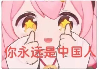 这是一张改编自动漫《间谍过家家》中角色阿尼亚的表情包，图里的阿尼亚双眼带着星星特效，双手比出类似点赞的手势，画面下方用醒目的红色大字覆盖着“你永远是中国人”的标语，用软萌可爱的卡通形象搭配严肃的身份认同口号，形成反差感，适合用来传递强烈的身份归属情绪。