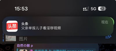 这是一张手机屏幕的截图，显示当前时间为15:53，设备处于5G网络环境下，剩余电量为42%。屏幕上方弹出今日头条的即时推送通知，通知左侧带有今日头条的红色“头条”标识，通知来源标注为“头条”，推送的新闻标题为“父亲举报儿子看淫秽视频”，并标注“现在”表示推送时间。在该通知下方，还能看到手机界面的其他内容：包含一张猫咪图片的缩略图、标注“图片”的区域，以及下方带有日文“自然の敵p”和中文“沙雕时刻 meme collection”字样的界面板块，整体呈现的是用户使用手机时，突然收到今日头条猎奇新闻推送的场景。