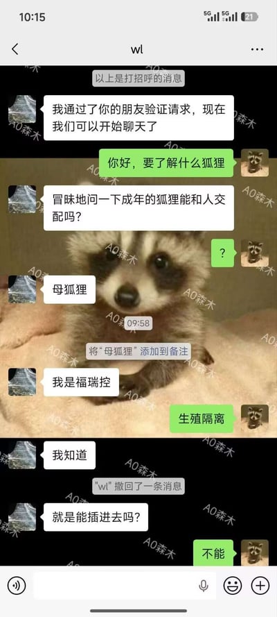 这是一张微信聊天记录截图，聊天背景为一只趴卧的小浣熊照片，画面中布满“A0森木”的水印。对话双方为刚通过好友验证的两人，其中新添加好友的一方自称是福瑞控，向对方接连提出离谱问题：先询问成年母狐狸能否和人交配，在对方答复“生殖隔离”后，仍继续追问生理上是否可以插入，最终得到对方“不能”的否定回复，对话内容猎奇且超出常理。