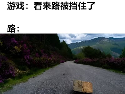 图片上半部分有两行文字，分别是“游戏：看来路被挡住了”和“路：”，下半部分是一张实景照片，展示了一条蜿蜒的山路，道路两旁长满了紫色的花丛和绿色植被，远处是连绵的山脉。画面中央的路面上只有一块小小的石头，形成了游戏中常有的“路被挡住”的夸张设定与现实中小障碍的幽默对比。
