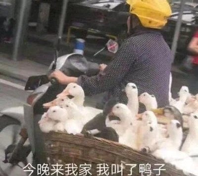 图片中一名戴着黄色头盔的人正骑着电动车，车后座的竹篮里装满了白色的鸭子。图片底部配有文字“今晚来我家 我叫了鸭子”。
该图片使用了双关语：“叫了鸭子”表面指订购了鸭子，在网络语境中也可能暗含其他调侃意味，通过字面意思与潜在含义的反差制造幽默效果。