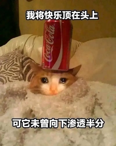 这是一张网络热门表情包，画面主体是一只橘色猫咪，它的大半张脸埋在柔软的毛绒被褥里，只露出额头和圆溜溜的双眼，头顶稳稳放着一罐红色的可口可乐。图片上方配文“我将快乐顶在头上”，下方配文“可它未曾向下渗透半分”，巧妙用大众认知里被称为“快乐水”的可乐指代快乐，通过猫咪头顶快乐却完全感受不到的反差，调侃自身情绪低落、快乐和自己毫无关系的状态，生动表达了“快乐是别人的我什么都没有”的低落心情。