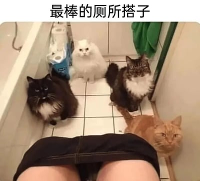 图片展示了一个有趣的浴室场景，四只不同毛色的猫咪（黑猫、白猫、虎斑猫和橘猫）围绕着坐在马桶上的人，形成了"最棒的厕所搭子"的幽默画面。猫咪们表情各异，有的严肃，有的好奇，有的淡定，展现了宠物陪伴主人的温馨又搞笑的日常瞬间。