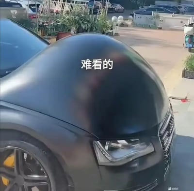 这张图片是一辆汽车，但其引擎盖被夸张地改造成了一个巨大的圆顶，看起来十分不协调甚至有些滑稽。引擎盖上方写着“难看的”三个大白字，直接表达了图片的主旨——调侃外观不佳甚至怪异的车辆改装。画面本身属于典型的二次创作，通过夸张和讽刺来制造幽默。

未见明显谐音梗或双关，但整体形象极具讽刺和反差感。