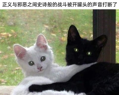 图片展示了两只依偎在一起的小猫，左侧是一只白色小猫，睁着圆溜溜的绿眼睛，神态乖巧懵懂，一只前爪搭在旁边的黑色小猫身上；右侧的黑色小猫眼睛在光线下反光，姿态放松地和白猫靠在一起。图片上方配有文字“正义与邪恶之间史诗般的战斗被开罐头的声音打断了”，利用黑白猫的视觉反差对应经典的正邪对立设定，再用猫咪无法抗拒的开罐头声音作为打断“对决”的诱因，制造出强烈的反差感与幽默感，将原本严肃的对立场景转化为猫咪亲昵依偎的可爱画面，搞笑地诠释了被诱惑打断严肃时刻的情景。
