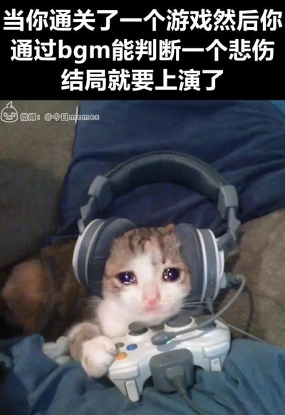 这是一张引发游戏玩家共鸣的萌宠表情包，画面主体是一只戴着大尺寸耳机、爪子搭在游戏手柄上的小猫，它眼眶含泪，眼神委屈，看起来十分难过；图片上方配有文字“当你通关了一个游戏然后你通过bgm能判断一个悲伤结局就要上演了”，精准还原了游戏玩家在通关游戏时，通过背景音乐的变化预判到即将迎来悲伤结局，提前陷入失落、委屈情绪的状态，用软萌又委屈的小猫形象生动地放大了这种情绪，既搞笑又能让有类似经历的玩家感同身受。