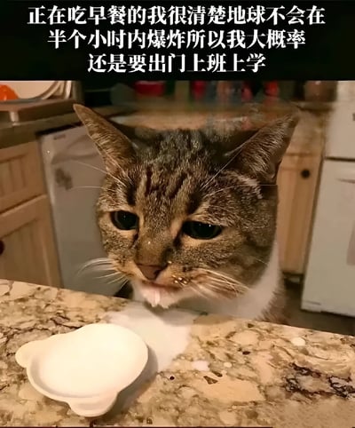 图片中是一只虎斑猫（棕黑条纹，白色胸部）坐在厨房台面上，表情悲伤，嘴边沾有食物残渣，面前放着一个白色的小碗。图片上方配有文字：“正在吃早餐的我很清楚地球不会在半个小时内爆炸所以我大概率还是要出门上班上学”。整体通过猫咪的无奈表情与文字内容结合，幽默地表达了人们对上班上学的不情愿，将猫咪吃早餐的场景拟人化，引发打工人和学生党的共鸣。