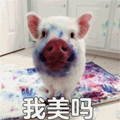 图片中是一只白色小猪，脸部被染上紫色颜料，站在一块色彩斑斓的涂鸦地垫上。小猪眼神呆萌，鼻子粉红，背景是白色橱柜的室内环境。图片底部有白色加粗文字“我美吗”，整体营造出可爱又幽默的氛围，通过小猪的无辜表情和直白的提问引发观者笑意。