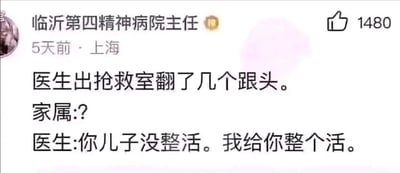 这是一张社交媒体截图，发布者昵称标注为“临沂第四精神病院主任”，显示5天前于上海发布该内容，获得了1480个点赞。内容是一个充满荒诞感的搞笑段子：医生从抢救室出来后翻了几个跟头，家属对此露出疑惑的神情，医生解释称因为家属的儿子没“整活”（网络流行语，指做出新奇、有趣的举动），所以自己给家属“整个活”，利用医患场景和网络热梗结合的方式制造反差笑点，发布者的夸张昵称也进一步烘托了段子的荒诞搞笑氛围。