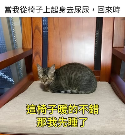 图片展示了一只虎斑猫趁主人离开座位去洗手间时，霸占了温暖椅子的搞笑场景。猫咪舒适地蜷缩在米色坐垫上，眼睛微闭，一副理所当然的表情。图片上方文字描述了主人的经历："當我從椅子上起身去尿尿，回來時"，下方黄色文字则模拟了猫咪的内心想法："這椅子暖的不錯 那我先睡了"，形成了幽默的对比效果。