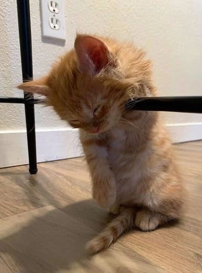一只毛茸茸的小橘猫正依偎在黑色金属桌腿旁打盹。小猫闭着眼睛，身体微微前倾，两只前爪自然垂下，蓬松的尾巴安静地放在地板上。背景是浅色墙壁和木质地板，墙上有一个白色电源插座，整体画面温馨治愈，展现了猫咪慵懒可爱的日常瞬间。