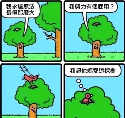 这是一幅四格连环卡通漫画，以小树的心态变化为核心展开剧情：第一格中，一棵表情沮丧的小树望着身旁高大的树木，配文“我永远无法长得那么大”，流露出因自身矮小而产生的自卑情绪；第二格中，小树的情绪进一步崩溃，配文“我努力有个屁用？”，充满了自我否定与挫败感；第三格中，一只衔着树枝的小鸟飞到小树的树冠上，显然是打算在此处搭建巢穴；第四格中，小鸟已经在小树的树冠里做好了窝，小树的心态彻底反转，配文“我超他妈爱这棵树”，此时它不再因自己的矮小而自卑，而是找到了属于自己的价值，变得开心满足。漫画通过这种反转的剧情，传递了无需与他人比较、接纳自我并发现自身独特价值的治愈内核。