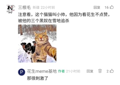 这是一张社交媒体meme账号的评论区截图，用户“三根毛”针对一张经典的动物合成meme图进行二次创作，配上了夸张搞笑的剧情文案：将图里的橘猫命名为小帅，调侃它因为看了“花生meme基地”的内容却没点赞，被图中的两只黑狗和一只黑猫调侃为“三个黑奴”在雪地里追杀，账号作者看到后回复“那很刺激了”，整体内容用反差感和无厘头的剧情制造笑点，属于典型的meme文化互动，趣味十足。