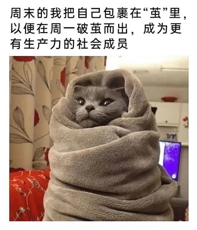这是一张引发打工人共鸣的图文梗图，画面主体是一只灰色英国短毛猫，被深灰色的毛巾紧紧包裹成茧状，仅露出头部，猫咪眼神带着疲惫与无奈，表情凝重，仿佛被“封印”其中。图上方的配文为“周末的我把自己包裹在‘茧’里，以便在周一破茧而出，成为更有生产力的社会成员”，精准地将打工人的周末状态比作“作茧”——利用周末时间彻底休息、“封闭”自己来充电蓄力，为周一复工做好准备，生动又略带戏谑地展现出当代打工人在周末渴望放松、面对周一工作日又不得不调整状态的复杂心情，戳中了职场人的普遍痛点。