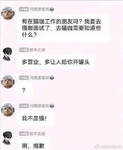 这是一段充满笑点的聊天记录截图：用户「河狸建堤坝」以Doge表情包为头像，在聊天中询问群友，自己要去猫咖面试，需要了解哪些事项；用户「牧羊之笛」以《恋与制作人》角色许墨的头像，误以为提问者是要在猫咖“入职”的猫咪，回复「多营业，多让人给你开罐头」。提问者先是发问号表达疑惑，随后强调「我不是猫！」，最后「牧羊之笛」回复道歉。
这段对话的核心笑点在于回复者的错位误解，将人类面试猫咖员工的需求，当成了猫咪“入驻”猫咖的注意事项，产生了荒诞又搞笑的效果。
针对图中的问题，去猫咖面试的注意事项有：1. 要有与猫咪相处的经验，了解基础的猫咪护理常识，比如猫咪的行为习惯、常见的健康小问题处理；2. 具备良好的服务意识，能热情、耐心地接待到店顾客；3. 知晓猫咖的日常运营内容，包括猫咪的喂食、猫舍清洁、店内环境维护等工作；4. 自身喜爱猫咪，拥有足够的耐心和责任心；5. 注意个人卫生，确保不会携带可能危害猫咪健康的病菌。