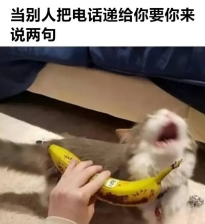 这是一张图文混排的搞笑表情包，上方配有文字“当别人把电话递给你要你来说两句”，精准点出了社恐人群会感到窘迫的社交场景。下方的画面中，一只灰白相间的猫咪张大嘴巴，露出抗拒又无措的神态，一只手拿着一根表皮带有黑斑的黄色香蕉，将香蕉的一端凑在猫咪嘴边，把香蕉创意性地模拟成电话，以此来具象化社恐人群在被突然要求接电话说话时，那种紧张、抗拒、不知道该说什么的窘迫状态，用猫咪的真实反应和荒诞的道具设定，放大了场景的尴尬感，引发有类似经历的人的共鸣。