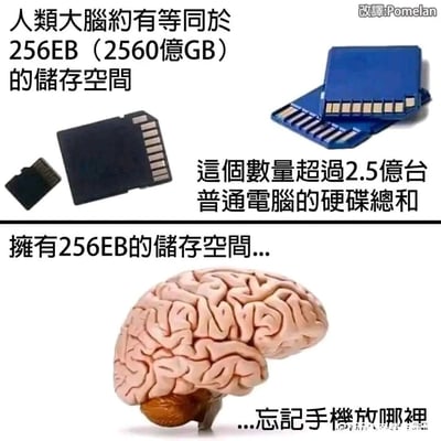 这是一张上下结构的反差搞笑梗图，上半部分展示了不同尺寸的存储卡，并配文说明人类大脑拥有约256EB（2560亿GB）的超大存储空间，该容量超过2.5亿台普通电脑硬盘的总和，以此凸显大脑理论上的超强存储能力；下半部分则呈现了人类大脑的模型，搭配“...忘记手机放哪里”的文字，用大脑理论层面的极致存储能力与现实中人们经常发生的健忘日常形成强烈反差，用幽默的方式调侃人类普遍存在的健忘特性，引发观者共鸣。