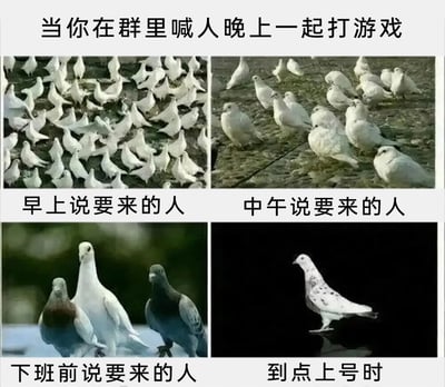 这是一张由四张图片拼接而成的趣味梗图，以“鸽子”（指代放鸽子、爽约的人）的数量变化，生动调侃了在群里约朋友晚上一起打游戏时的常见状况：1. 左上角是一大群鸽子，配文“早上说要来的人”，表现早上响应的人很多；2. 右上角是数量明显减少的鸽子群，配文“中午说要来的人”，说明到中午时不少人已经开始爽约；3. 左下角是寥寥几只鸽子，配文“下班前说要来的人”，临近下班时剩下的人已经很少；4. 右下角是单独一只鸽子，配文“到点上号时”，到了约定打游戏的时间，几乎没人赴约，只剩极少人甚至没人来。整个梗图用“放鸽子”的谐音梗，形象地展现了朋友间约玩时不断被爽约的无奈又好笑的日常。