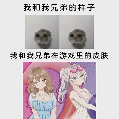 这是一张上下结构的对比梗图，上方展示了两只外观几乎一模一样的灰色仓鼠，配文“我和我兄弟的样子”，用来指代现实里自己和兄弟普通、接地气的形象；下方则是两位风格靓丽的二次元美少女，一位是棕发蓝裙造型，一位是银发粉框爱心眼镜的轻装造型，配文“我和我兄弟在游戏里的皮肤”。整图通过现实中普通的仓鼠形象与游戏里精致好看的女性角色形成强烈反差，调侃玩家在游戏中选择的角色皮肤和自身现实形象的巨大差距，充满趣味和反差感，精准戳中游戏玩家的共鸣点。