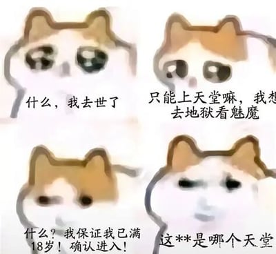 这是一组由四张mur猫表情包拼接而成的连环梗图，通过四格画面的递进对话制造荒诞搞笑的效果。第一张图中，mur猫露出惊讶的表情，配文表现出对自己去世的震惊；第二张图中mur猫表情纠结，配文表达了不想上天堂、想去地狱看魅魔的猎奇想法；第三张图中mur猫表情急切，配文显示出为了进入目标地方而急切确认年龄的状态；第四张图中mur猫表情崩溃无语，脏话配文则制造了反转笑点，暗示进入的地方和自己预期的地狱完全不同，形成强烈的反差感，用戏谑的方式调侃了猎奇心理与预期落空的落差。