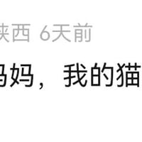 空洞骑士