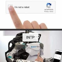 INTP缩略图