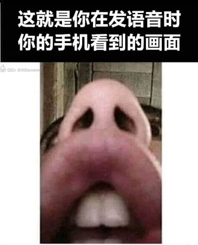 这是一张顶配底文的静态单图，顶部黑色背景上配有白色文字“这就是你在发语音时你的手机看到的画面”，下方是一张近距离拍摄的人的鼻子和嘴巴的特写照片，用幽默夸张的视角模拟人们对着手机发语音时，手机麦克风所在位置“看到”的画面，贴近日常使用手机的场景，通过生活化的细节制造搞笑效果，容易引发网友的共鸣。