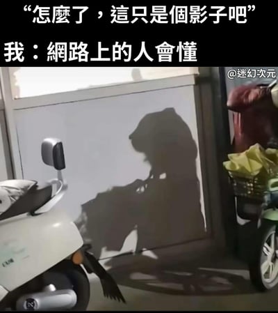 这张图片展示了一个有趣的影子错觉现象。在一面浅色墙壁上，一个物体的影子形成了一个酷似人持枪的形状，看起来十分逼真。图片上方配有文字："怎麼了，這只是個影子吧"和"我：網路上的人會懂"，幽默地表达了只有经常上网的人才能理解这种视觉错觉带来的笑点。图片右下角可以看到一辆摩托车的部分车身，暗示影子可能是由摩托车或其配件形成的。