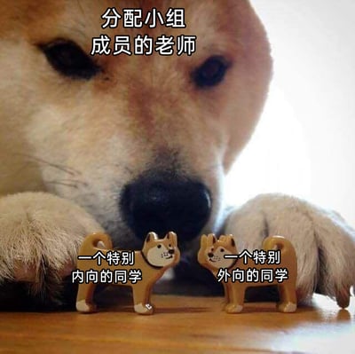 这张梗图用一只趴在桌面上的真实柴犬代表分配小组成员的老师，柴犬神态严肃专注，双爪放在身前，护着两个柴犬造型的小摆件。两个摆件分别被标注为“一个特别内向的同学”和“一个特别外向的同学”，生动还原了校园里老师为了促进小组互动，特意将性格反差极大的同学分配到同一组的常见操作，用可爱的柴犬形象让这个日常校园场景变得诙谐有趣，容易引发学生群体的共鸣。