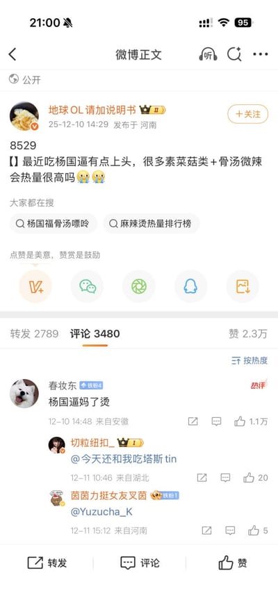 该图为微博正文截图，用户“地球OL_请加说明书”（带V认证）于2025年12月10日14:29在河南发布动态，内容为疑惑近期常吃的杨国福麻辣烫（素菜菇类+骨汤微辣组合）是否热量很高，配文后附哭泣表情。帖子下方显示相关搜索词“杨国福骨汤嘌呤”“麻辣烫热量排行榜”，互动数据为转发2789、评论3480、点赞2.3万。评论区热评由用户“春妆东”发布，内容“杨国逼妈了烫”玩谐音梗，将“杨国福”调侃为带有粗口谐音的文字，获1.1万点赞。