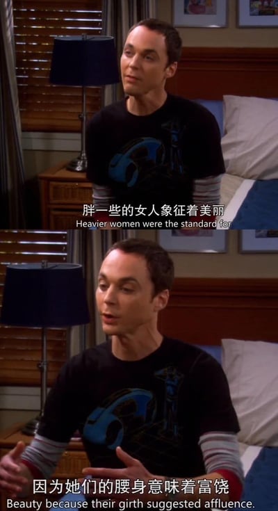 这是美剧《生活大爆炸》的两张拼接竖屏截图，剧中角色谢尔顿·库珀正一本正经地科普审美文化：在过去的时代，胖一些的女人是美的标准，因为她们的腰身意味着富饶。画面里谢尔顿坐在卧室中，先是抬头讲解，随后摊开双手辅助表达，表情认真，搭配中英双语字幕，清晰传递出这段关于审美标准与富饶关联的观点，常被用来讨论审美变迁、缓解身材焦虑。