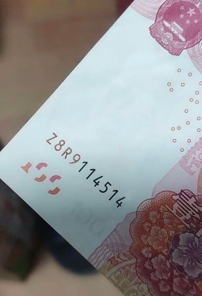 这是一张第五套人民币的局部竖版特写照片，画面清晰展示了纸币上的冠字号码「Z8R9114514」，号码下方还有一组异形的防伪标记，同时能看到纸币右上角的国徽、右下角的花卉与建筑类印刷图案等细节，整体为真实纸币的原始拍摄，无后期修改痕迹，没有双关、谐音梗或暗示内容。