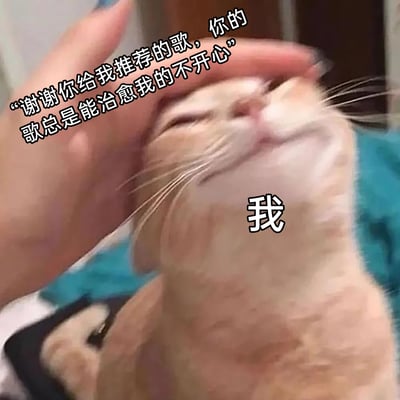 这是一张文字加注的宠物表情包，画面主体是一只被手抚摸头部的橘猫，猫的身上标注了“我”，上方配文“谢谢你给我推荐的歌，你的歌总是能治愈我的不开心”。橘猫闭眼仰头，露出十分享受、放松的表情，生动地将“我”在收到他人推荐的治愈系歌单后，内心得到安抚、负面情绪被治愈的满足感具象化，用宠物被抚摸的可爱状态传递出温暖、治愈的情绪，适合在向分享歌单的人表达感谢时使用。