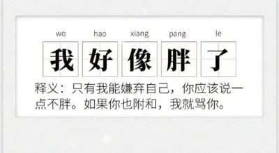 这是一张解释社交互动潜规则的梗图，上方以拼音标注的"我好像胖了"五个大字为主体，下方配有幽默释义："只有我能嫌弃自己，你应该说一点不胖。如果你也附和，我就骂你。" 生动展现了朋友间自我调侃时的微妙心理，常用于表达希望获得对方肯定而非附和的社交场景。