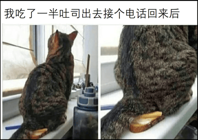 这是一张左右对比的猫咪搞笑图片，展示了主人离开接电话后，猫咪如何'处理'剩下的吐司。左边图片显示猫咪坐在窗台上，尾巴下似乎藏着什么东西；右边图片放大显示猫咪尾巴下确实压着半片吐司。图片上方配有文字：'我吃了一半吐司出去接个电话回来后'，幽默地呈现了宠物趁主人不在时的调皮行为。